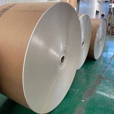 Biodegradable Eco-Friendly PE Coated Paper Roll Cuatom Size And Printing