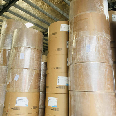 Food Grade Degradable PE Coated Paper Roll Offset Printing