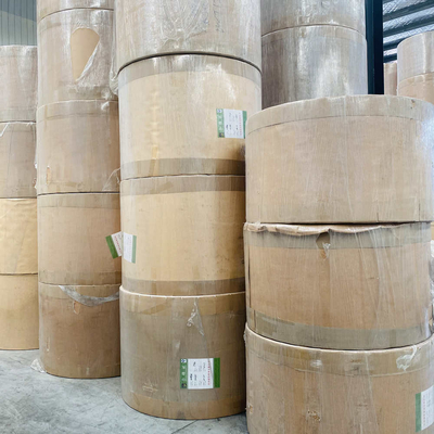 Food Grade Degradable PE Coated Paper Roll Offset Printing