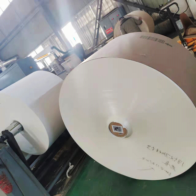 High Bulk PE Coated Paper Roll 135gsm Waterproof For Paper Cup