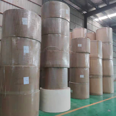 Greaseproof PE Coated Paper Roll Food Grade Eco-friendly Biodegradable