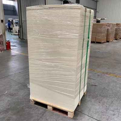 Eco Friendly Paper Cup Sheet 6inch Wood Pulp Food Grade PE Coated