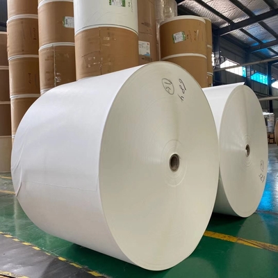 Eco Friendly Disposable PE Coated Cup Stock Paper Roll 200gsm 100% Wood  Pulp Paper