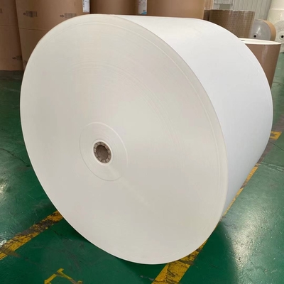 Eco-friendly PE Coated Paper Roll With Customized Size And Printing