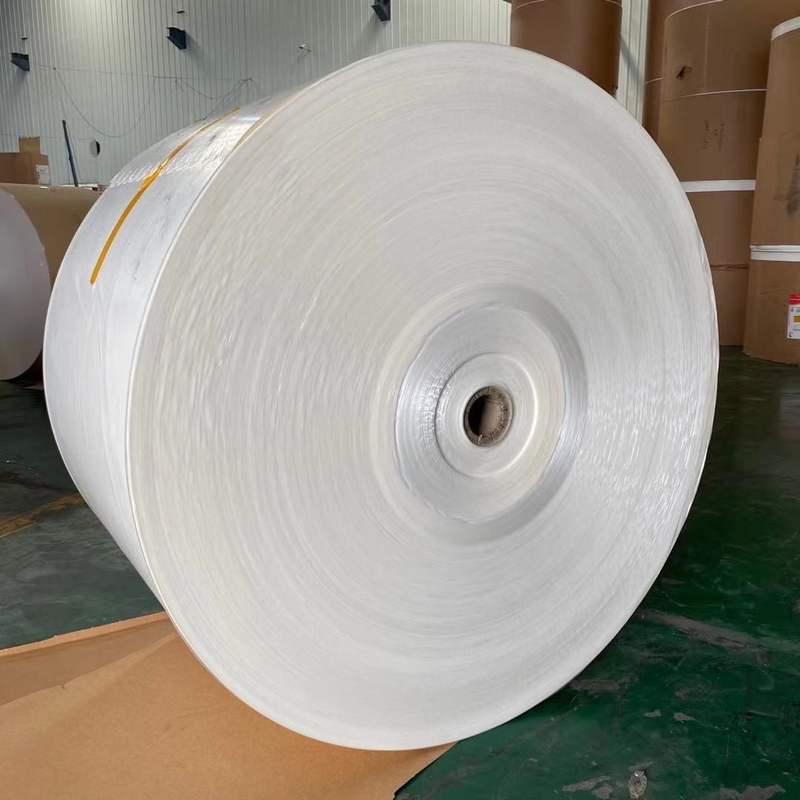 Food Grade PE Waterproof Coated Paper Roll 150 Gram ~ 350 Gram