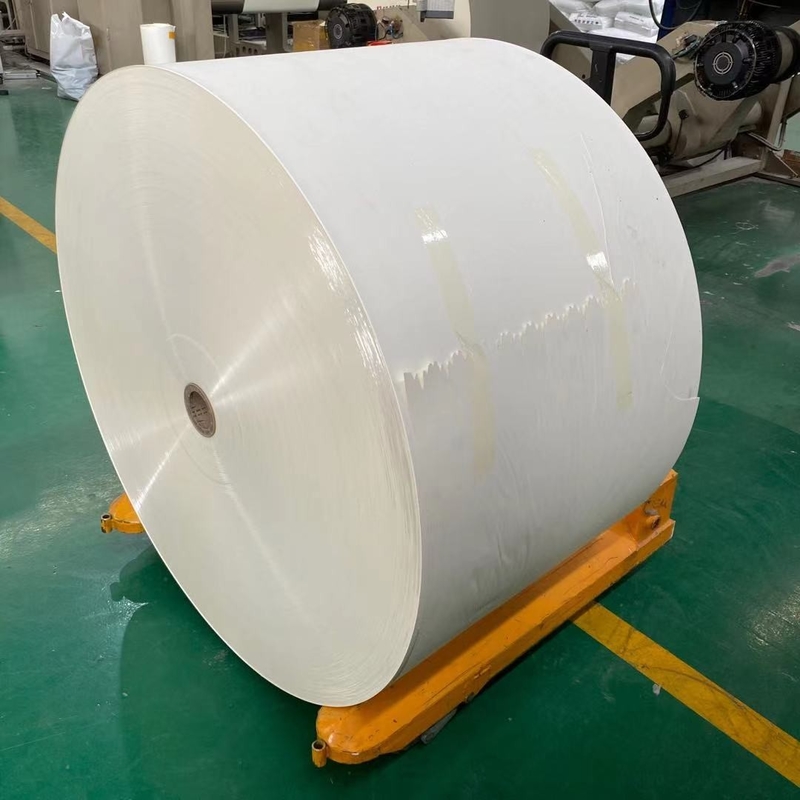 Single Or Double PE Laminated Paper 150Gsm To 350Gsm