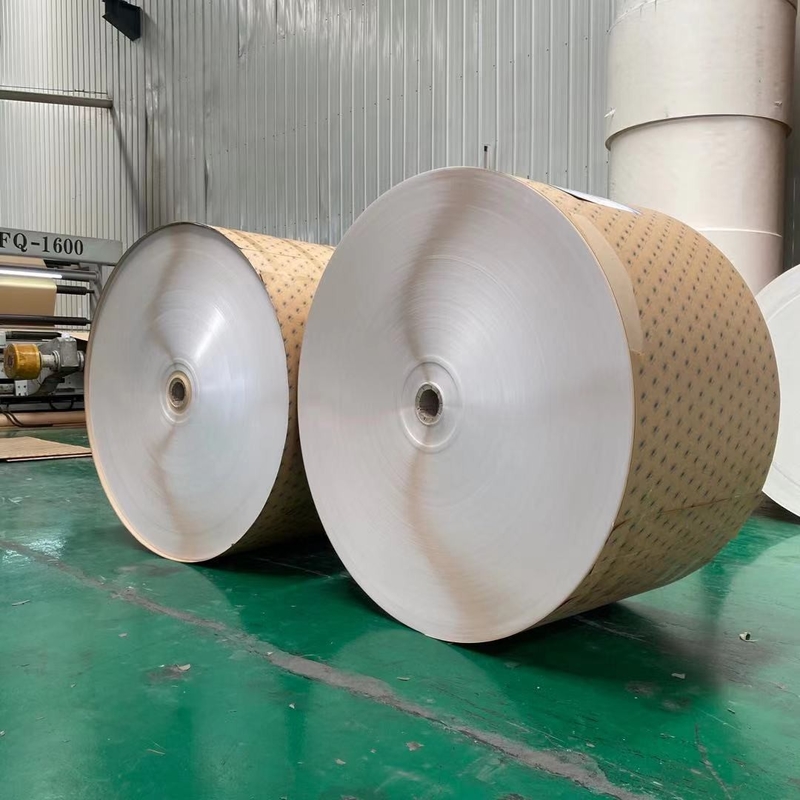 210 Gram Flexo PE Coated Paper In Roll