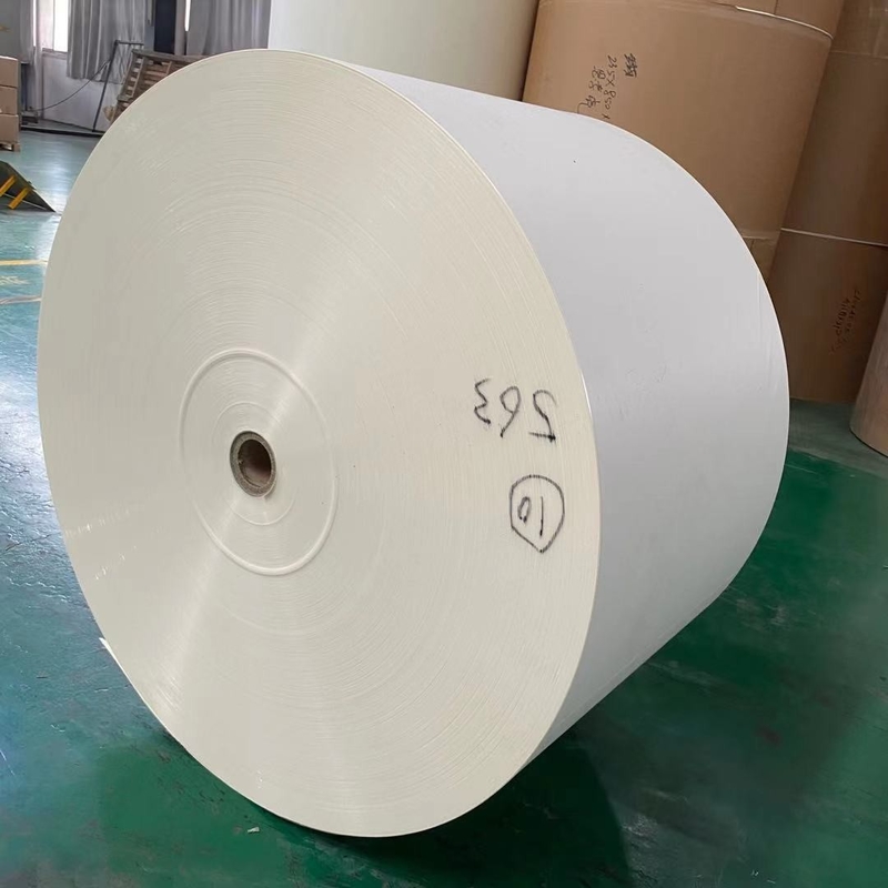 Waterproof 12oz PE Coated Paper Roll For Lunch Box Popcorn Bucket