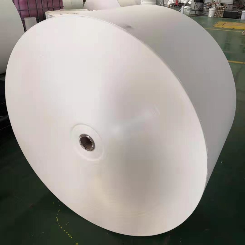 Bio Degradable PE Paper Roll 185 Grammage Paper Cup Raw Material