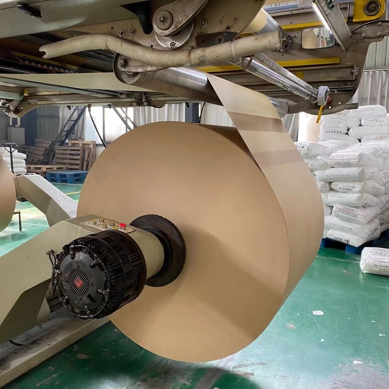 SGS 350gsm+20gsm PE Coated Kraft Paper Tea Cup Raw Material