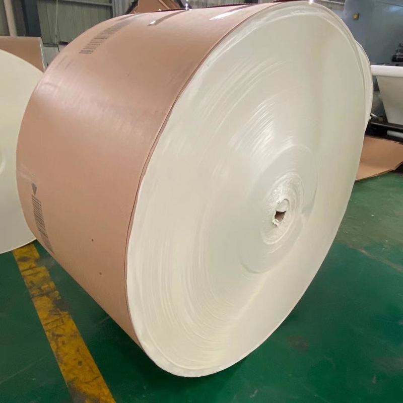 Thick 300 Gsm Duplex Paper FBB Coated Duplex Board With Grey Back