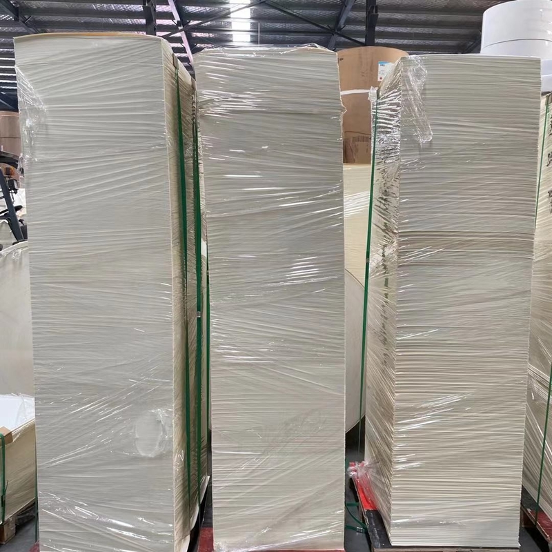 280gsm PLA Coated Paper Cup Raw Material Single Wall Paper Cup Blanks