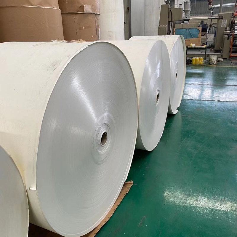 Greaseproof PE Coated Paper Roll Food Grade Eco-friendly Biodegradable